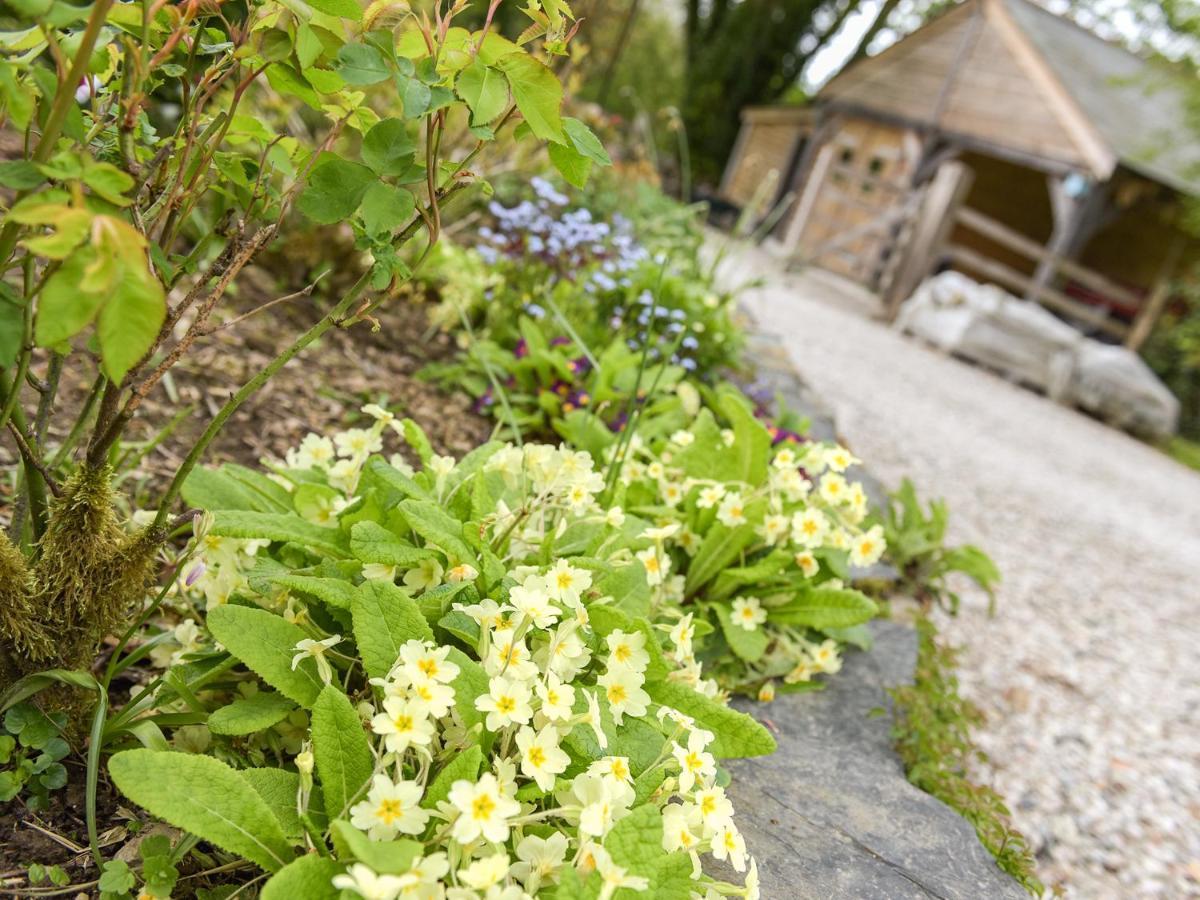 Mimi'S Cottage Лискерд Экстерьер фото